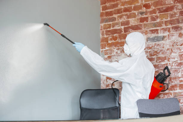 Biohazard Mold Removal in Tiger Point, FL