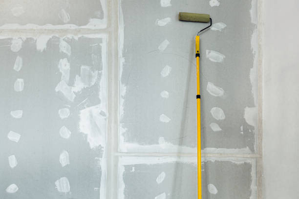 Best Water Damage & Mold Remediation  in Tiger Point, FL