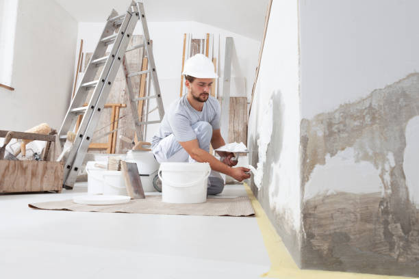 Tiger Point, FL Mold Removal Company