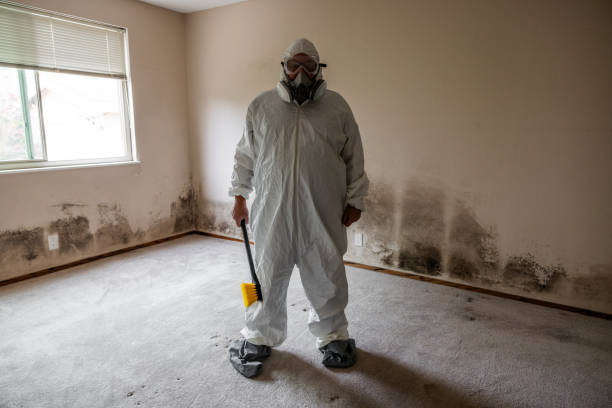 Mold Removal for HVAC Installations in Tiger Point, FL